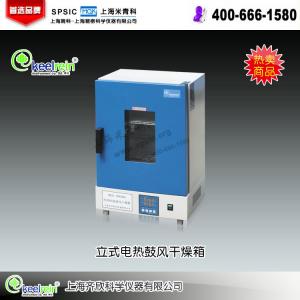 DGG-9070AD立式電熱鼓風干燥箱 上海齊欣科學儀器有限公司 市場報價：5490元