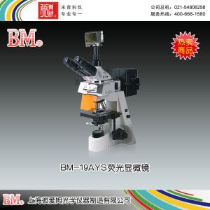 BM-19AYS型熒光顯微鏡（數碼、落射） 上海彼愛姆光學儀器制造有限公司 市場價39500元