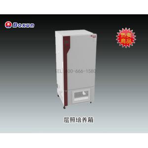 BXG-250層照培養(yǎng)箱 上海博迅實業(yè)有限公司