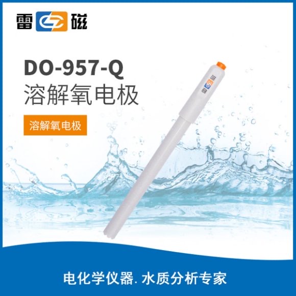 DO-957-Q溶解氧電極（新JPB-607A專用） 上海儀電科學儀器股份有限公司 市場價720元